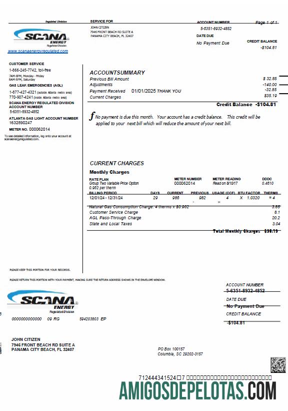 Para baixar modelo de conta de serviços públicos de energia SCANA dos EUA em formatos Word e PDF